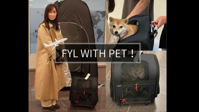【スターフライヤー】話題沸騰のFLY WITH PET！日本初のペット同伴サービスが航空業界を変える!?